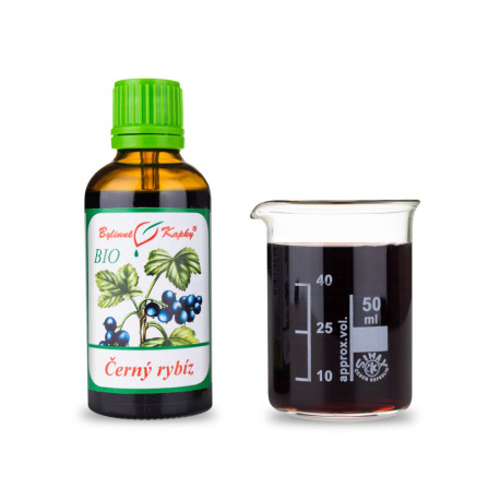 Schwarze Johannisbeere BIO Tropfen (Tinktur) 50 ml