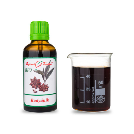 Sternanis BIO Tropfen (Tinktur) 50 ml