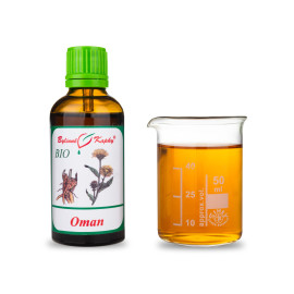 Elecampane BIO Tropfen (Tinktur) 50 ml
