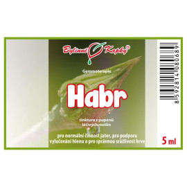 Hainbuchenknospen 5 ml - Gemmotherapie