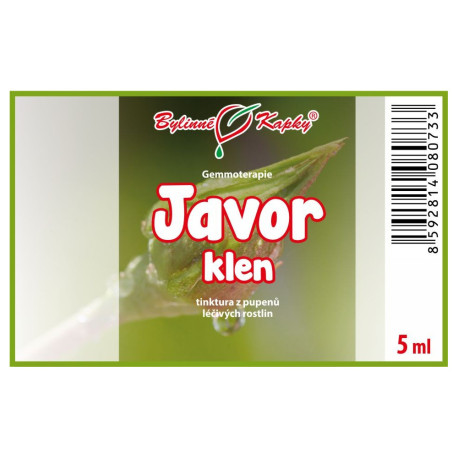 Bergahornknospen 5 ml - Gemmotherapie