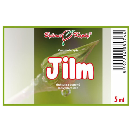 Ulmenknospen 5 ml - Gemmotherapie
