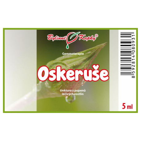 Ebereschenknospen 5 ml - Gemmotherapie