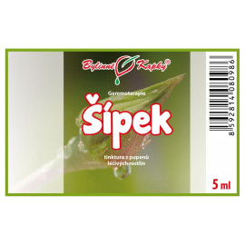 Hagebuttenknospen 5 ml - Gemmotherapie