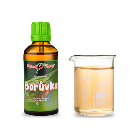Heidelbeer-Cranberry-Knospen 50 ml - Gemmotherapie