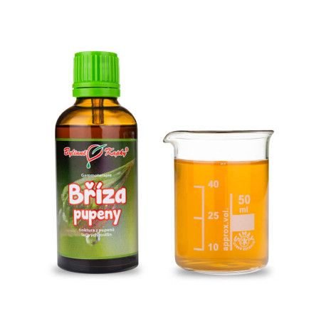 Birkenknospen 50 ml - Gemmotherapie