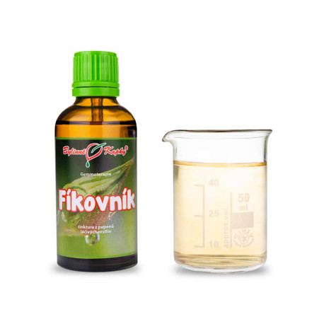 Feigenknospen 50 ml - Gemmotherapie