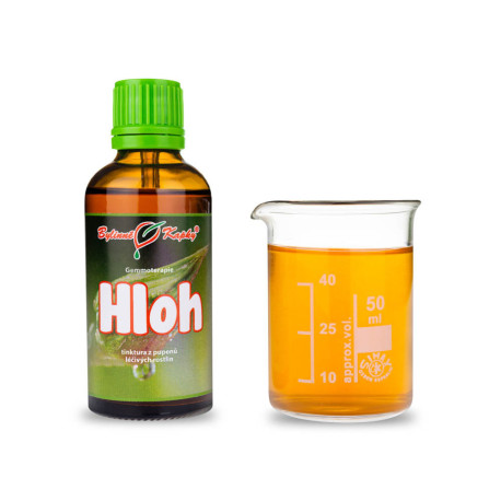 Weißdornknospen 50 ml - Gemmotherapie