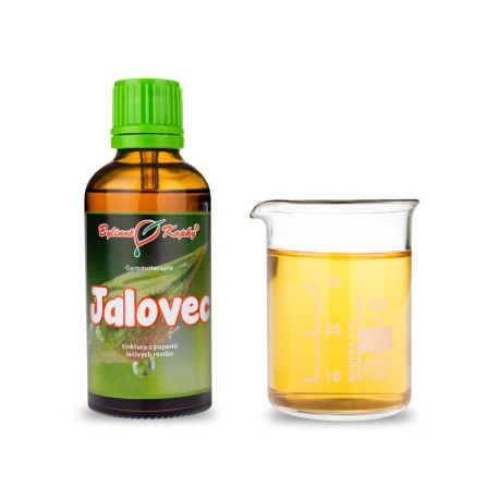 Wacholderknospen 50 ml - Gemmotherapie