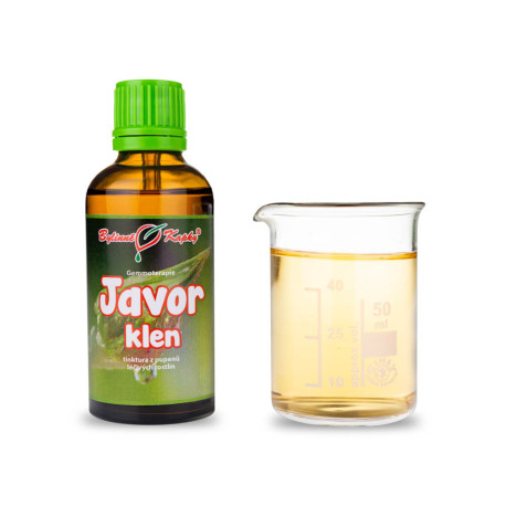 Bergahornknospen 50 ml - Gemmotherapie