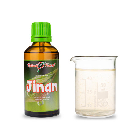 Ginkgo zweilappige Knospen 50 ml - Gemmotherapie