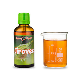 Rosskastanienknospen 50 ml - Gemmotherapie