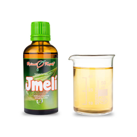 Mistelblüten mit weißen Knospen 50 ml - Gemmotherapie