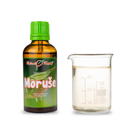 Schwarze Maulbeerknospen 50 ml - Gemmotherapie