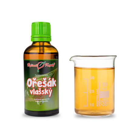 Royal Walnussknospen 50 ml - Gemmotherapie