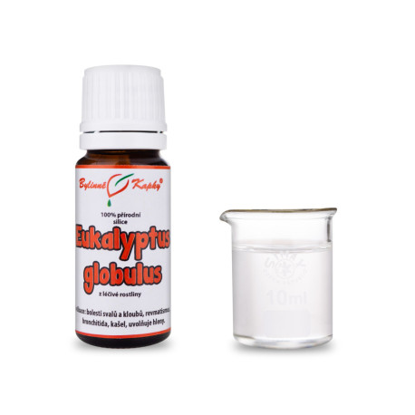 Eucalyptus globulus 100% natürliche ätherische Öle - ätherisches Öl 10 ml
