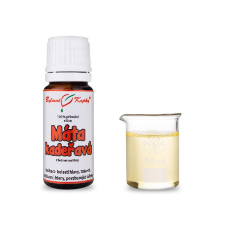 Lockige Minze 100% natürliche ätherische Öle - ätherisches Öl 10 ml