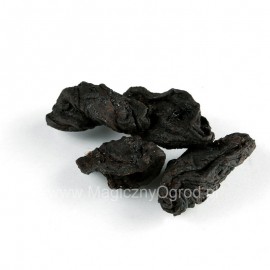 Garcinia Frucht - Garcinia kambodscha - 100g ganz