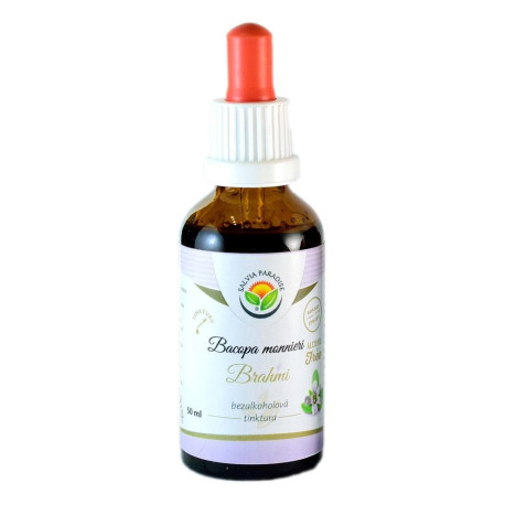 Bacopa monnieri - Brahmi AF Tinktur 50ml