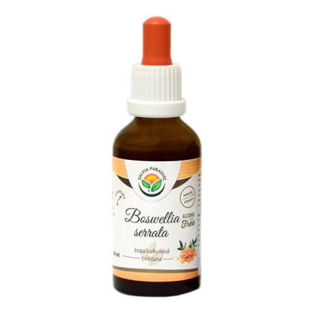 Boswellia serrata - Weihrauch AF Tinktur 50 ml