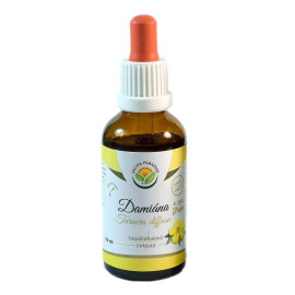Damiana – Turnera diffusa AF Tinktur 50ml
