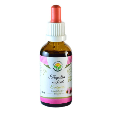 Echinacea – Coneflower Purple AF Tinktur 50ml