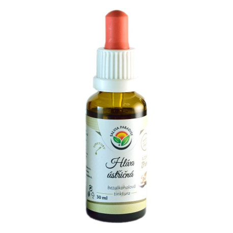 Austernpilz AF-Tinktur 30 ml