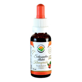 Schizandra-Porzellan – Kleeblatt-AF-Tinktur 30 ml