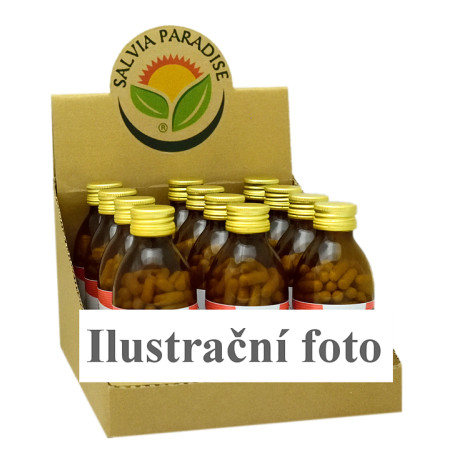 CZ BOX Chaga – Schräg Cutter-Kapsel 12 x 120 Stück