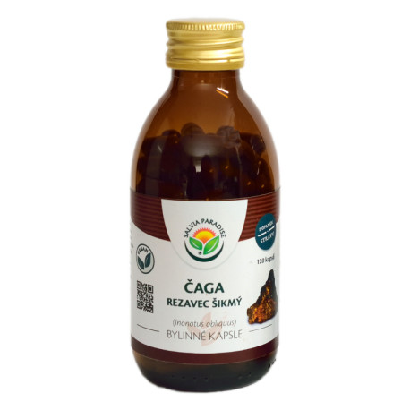 Chaga – geneigte Cutter-Kapseln 120 Stück