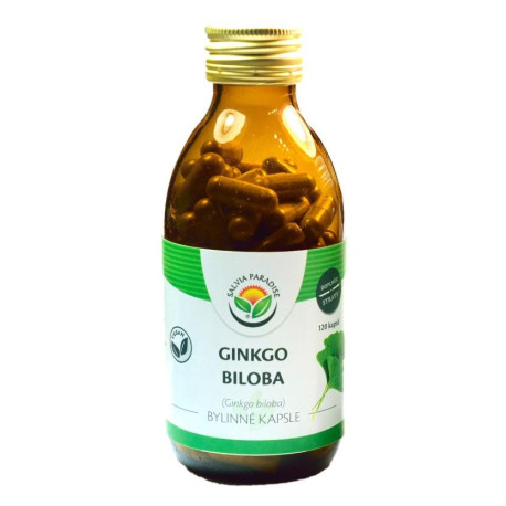 Ginkgo biloba – Ginkgo-Kapseln 120 Stück
