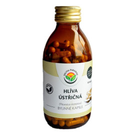 Austernpilzkapsel 120 Stück