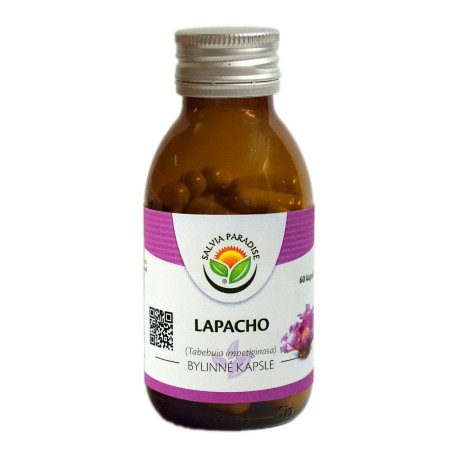 Lapacho begrenzt 60 Stück