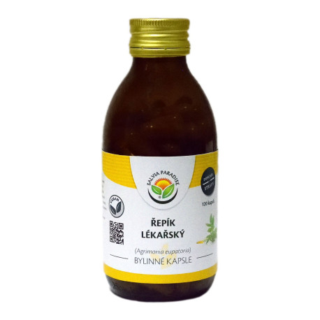 Burdock-Kapseln 120 Stück