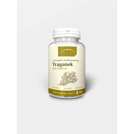 Astragalus 500 Komplex 100 Kapseln - 100