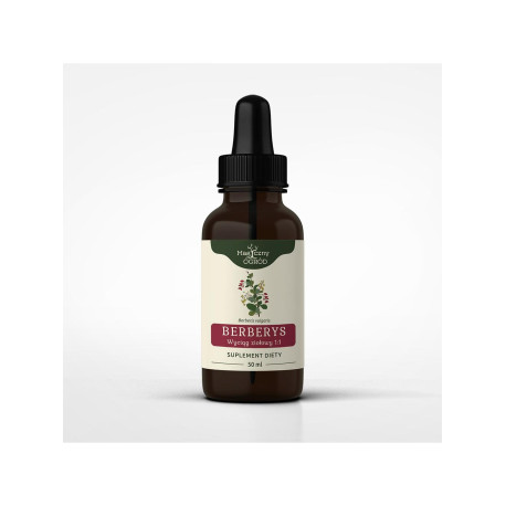 Berberis-Tinktur 1:1 50ml - 50ml