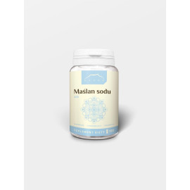 Natriumbutyrat 100 Kapseln x 400 mg - 100