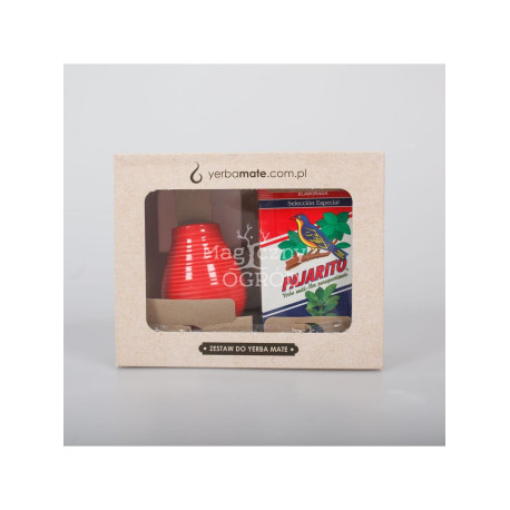 SET mit Yerba Mate Pajarito – glattes Grün
