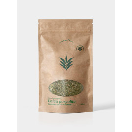Gewöhnliches Leinsamenkraut – 250g Stück