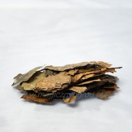 Ilex guayusa Blatt - 250g ganz