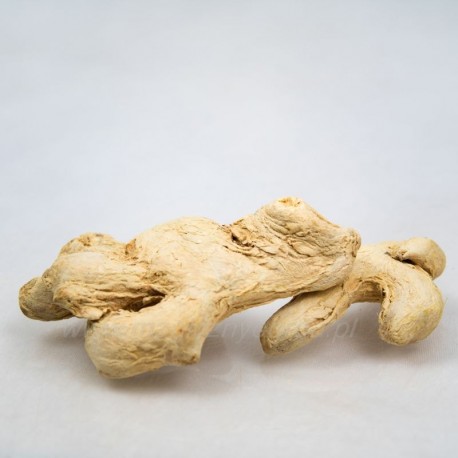 Ingwerwurzel - Zingiber officinale - 250g ganz
