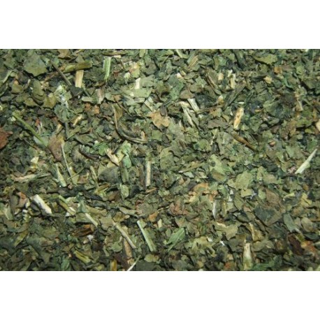 Isatis tinctoria - Isatis tinctoria - 250g gehackt