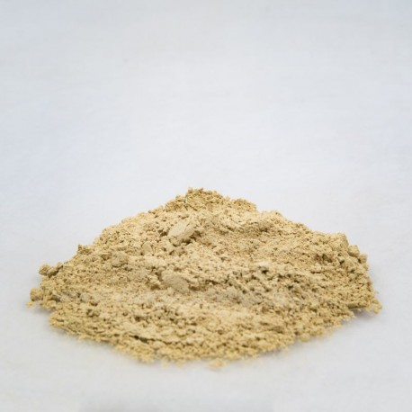 Archangelica-Wurzel - Angelica archangelica - 100g gehackt