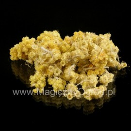 Erdbeer-Sandblume - Helichrysum arenarium - 25g ganz