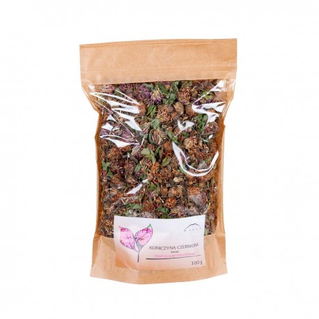 Kleeblüte - Trifolium pratense - 100g ganz
