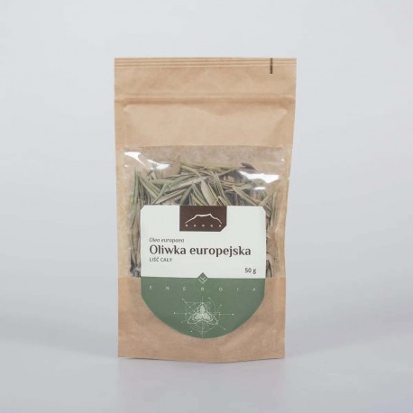 Europäischer Blattolivenbaum - Olea europea - 50g ganz