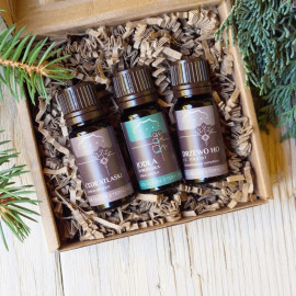 Forest Assembly - 100% Ätherische Öle - 3x10ml