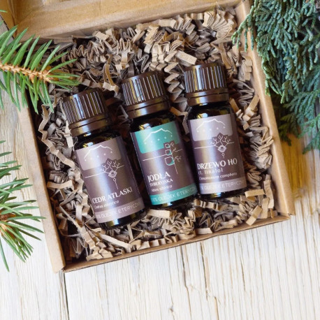 Forest Assembly - 100% Ätherische Öle - 3x10ml