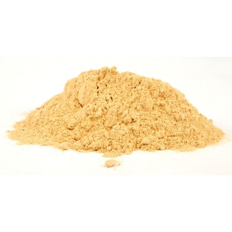 Maitake-Pilze - Grifola frondasa - 50g gemahlen