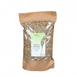 Benedict - Cnicus benedictus, Calcitrapa lanuginosa - 250g gehackt